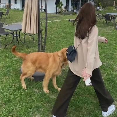 恐怖巨兽 海报
